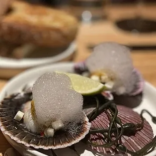 Scallop Crudo