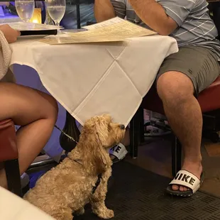 Pet friendly for those dining outdoors