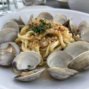 Linguine &amp; Littleneck Clams