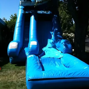 Dolphin slide