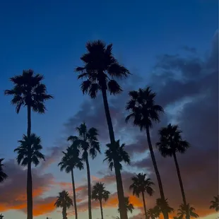 Sunset in front of the ASU Art Museum