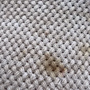 Stain on my sweater from Asuka dining table.