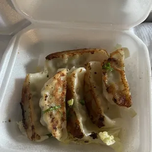 6 Pan Fried Pork Gyoza