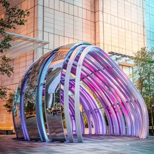 Did photography last night!