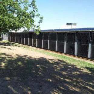 A view of the indoor /outdoor runs from the outside.