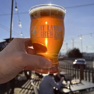 The sun, shining through my &quot;All bark, no bite&quot; double IPA. Ultra super excellent!