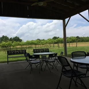 Out back
