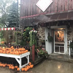 Pumpkins at the Farm!