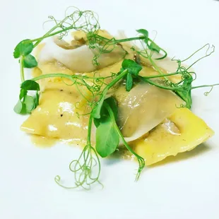 pasta dish, food, pasta