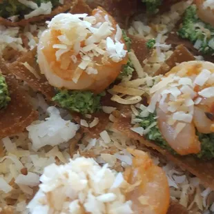 Our amazing Magical Shrimp...