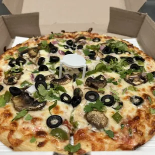 Veg round pizza