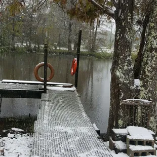 Snowin on da bayou.captain tony swamp tours in dec.2017 rarely seen in gibson la.