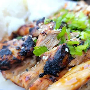 ows a plate of chicken and rice