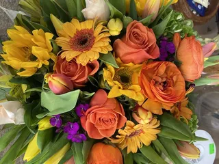 Tierra Linda Designs