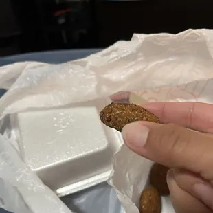 Falafel with tzatziki sauce