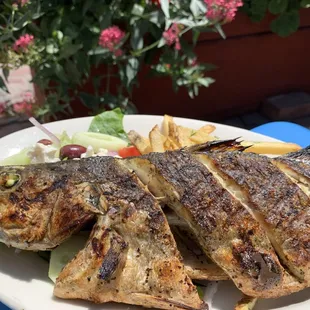 Grilled Branzini is one of our new specials! Come on in and try this, grilled fresh sardines or fried local calamari