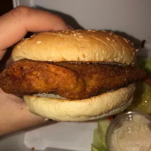 Breaded Breast of Chicken Patty
