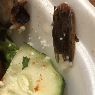 Roach in food