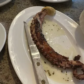 Octopus Grilled