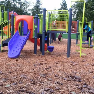 The colorful playground.
