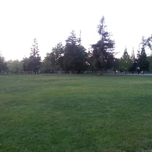 The park