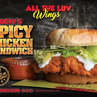 spicy chicken sandwich