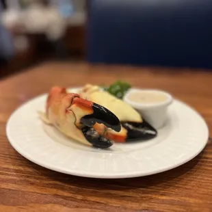 Stone Crab