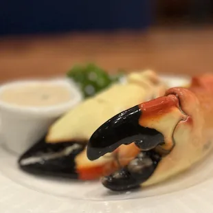 Stone Crab Claws