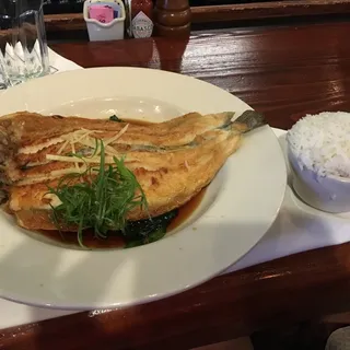 Today's Fresh Catch & Salad Platter