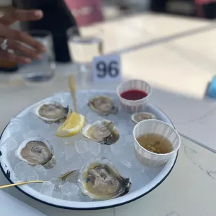 Half dozen oysters