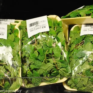 Mint!