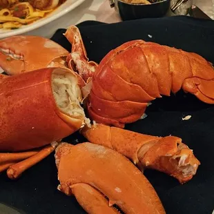 Steamed lobster super fresh