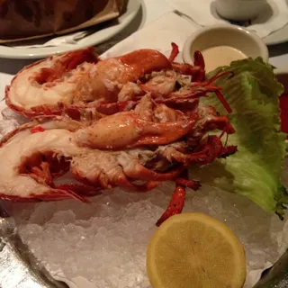 Maine Lobster Cocktail