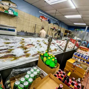 fish on display in a fish market