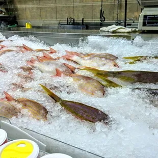 a variety of fish on ice
