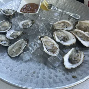Oysters