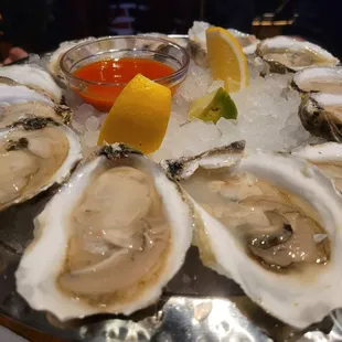 Oysters