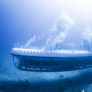 Atlantis Submarines Waikiki
