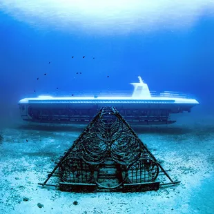 Atlantis Submarines Waikiki