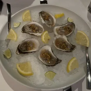 Delicious oysters!!