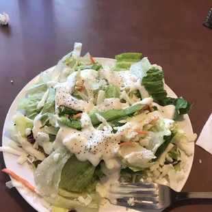 Side salad only $3! Came with olives, green peppers, onions, mozzarella, banana peppers, tomatoes, mushrooms