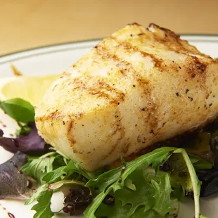Chilean Sea Bass
