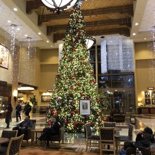 Sandia&apos;s Christmas Tree!