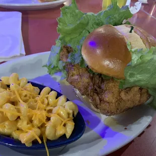 a chicken sandwich and macaroni salad