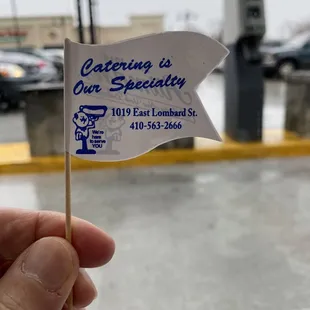 a hand holding a small flag