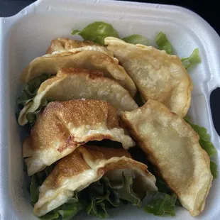 Gyoza