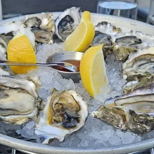 a platter of oysters with lemon wedges