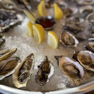 oysters, shellfish, food, mussels, oysters and mussels