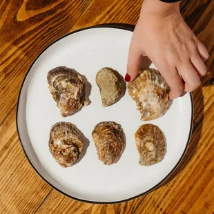 food, donuts, dough desserts