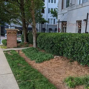 Walking up to Atwoods